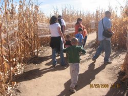 pumpkinpatch.08 004.jpg