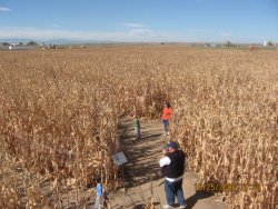 pumpkinpatch.08 009.jpg