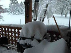 Snow Porch.jpg