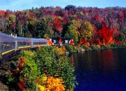 Fall at Trout Lakejpg.jpg