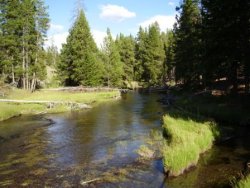 Yellowstone River 1.JPG