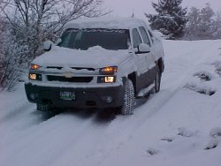 avsnows1.jpg
