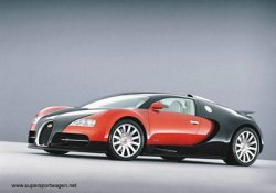 veyron9sml2.JPG