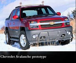 avalanche3.jpg