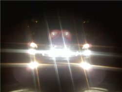 behind the grille.jpg