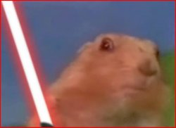 jedi chipmunk.JPG