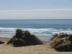 sand_lake_view.jpg