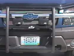 1badav1.JPG