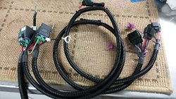 Dual Pump Harness - Copy.jpg