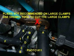sch11.b[1].jpg