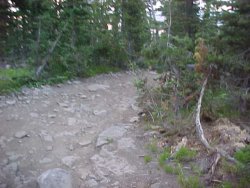 rockyroad.JPG