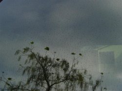 WindowGunk.jpg