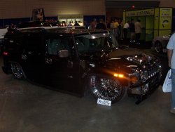 semaspring 006 (Custom).jpg