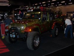 semaspring 011 (Custom).jpg