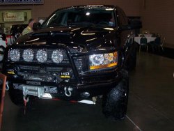 semaspring 016 (Custom).jpg