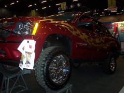 semaspring 019 (Custom).jpg