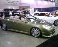 IMG00020.jpg