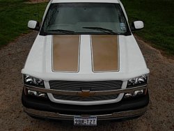 AV SS Stripes 002 (Small).jpg