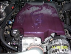 12UNDERHOOD_DRAGON0003.jpg