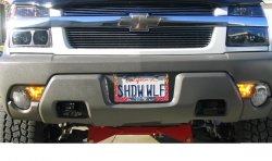 Wolf1Adrl.JPG