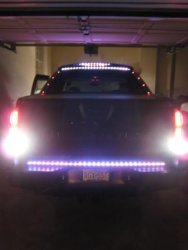 white lightning 004.jpg