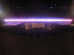 white lightning 005.jpg