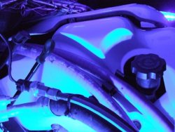 enginecoverglow3.JPG