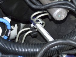 engineglowlocation1.JPG