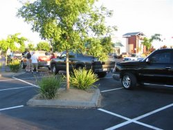 IMG_1604 (Custom).JPG