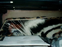 IMAG0011.JPG