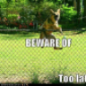 Emu the Foo
