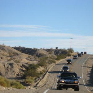 Picture_600.jpg