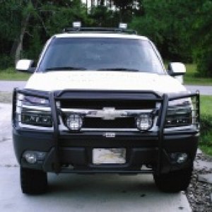 AV_Frontal_28229.jpg