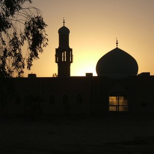 AEF_7_8_Iraq24.JPG