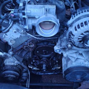 Timing Cover Removed