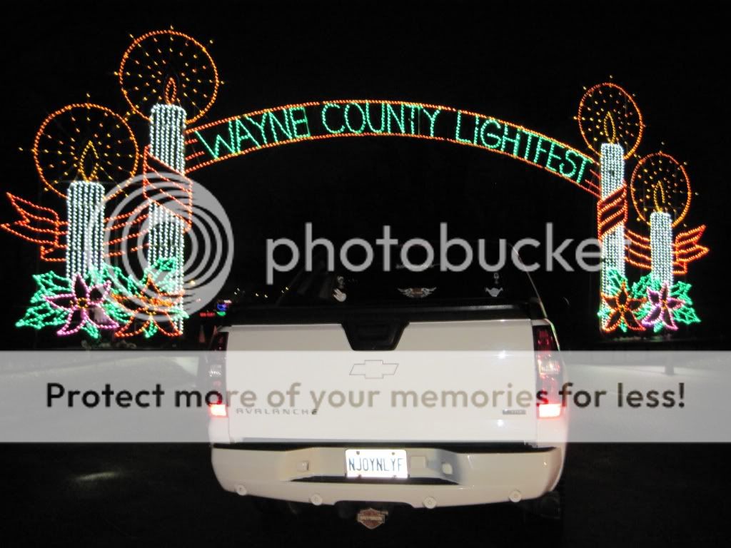 HolidayDinner2012-Lightfest019.jpg