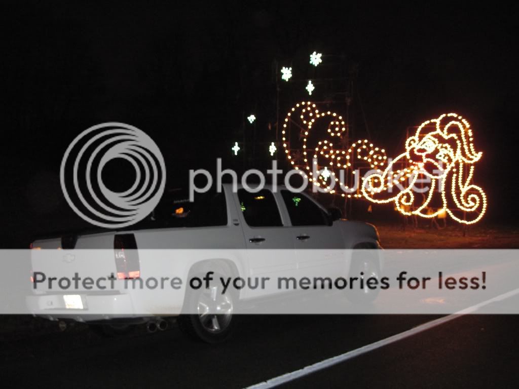 HolidayDinner2012-Lightfest032.jpg