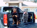 Filename=DSC00025.JPG
Filesize=310KiB
Dimensions=1600x1200
Date added=Mar 16, 2018 DSC00025.JPG